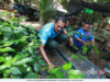 40 PESERTA ‘BUYBACK GUARANTEE’ BERTUAH TERIMA KAD KEBENARAN MASUK HUTAN SIMPAN DI PAHANG