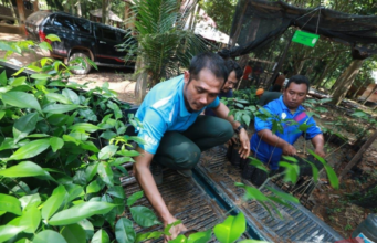 40 PESERTA ‘BUYBACK GUARANTEE’ BERTUAH TERIMA KAD KEBENARAN MASUK HUTAN SIMPAN DI PAHANG