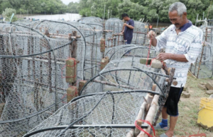 HASILKAN BUBU KETIKA ANGIN KENCANG DI LAUT