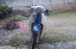 PENUNGGANG MAUT, MOTOSIKAL HILANG KAWALAN LANGGAR POKOK SAWIT