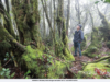 TER MOSSY FOREST JADI TARIKAN PELANCONG