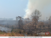 HUTAN TANAH GAMBUT SELUAS 51.4 HEKTAR TERBAKAR, TIUPAN ANGIN KUAT SUKARKAN OPERASI PEMADAMAN