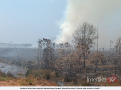 HUTAN TANAH GAMBUT SELUAS 51.4 HEKTAR TERBAKAR, TIUPAN ANGIN KUAT SUKARKAN OPERASI PEMADAMAN
