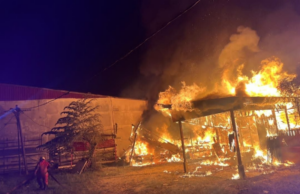 DUA RUMAH MUSNAH DALAM KEBAKARAN DI KOTA JEMBAL
