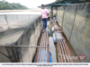 AIR SUNGAI PAHANG KERING, PENTERNAK IKAN SANGKAR RUGI