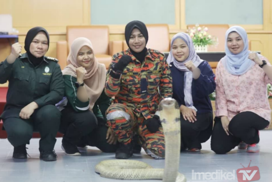 ELAK TANGKAP ULAR BERBISA TANPA KEMAHIRAN