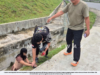 SEMBUNYI DALAM LONGKANG, DUA WARGA ASING DICEKUP IMIGRESEN SARAWAK