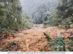 PHD CAMERON HIGHLANDS TUTUP SEMENTARA EMPAT LALUAN KE EMPAT GUNUNG