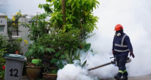 KES DENGGI MENINGKAT 145.4 PERATUS PADA ME 36