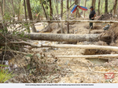 PADAH DULANG EMAS, SEMBILAN ORANG ASLI DITAHAN CEROBOH HSK BUKIT IBAM