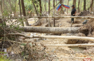 PADAH DULANG EMAS, SEMBILAN ORANG ASLI DITAHAN CEROBOH HSK BUKIT IBAM
