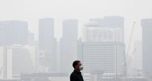 JEREBU DI SINGAPURA CAPAI TAHAP TERBURUK DALAM REKOD