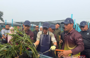MINDEF MANFAAT TANAH PERLUAS JANAVETERAN PERTANIAN
