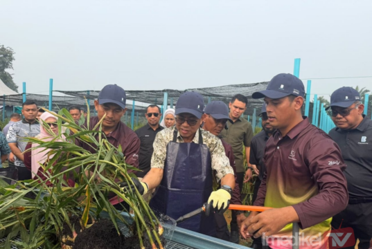 MINDEF MANFAAT TANAH PERLUAS JANAVETERAN PERTANIAN