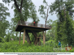 PULAU CHENDOL, PANTAI SURI BERPOTENSI JADI TARIKAN EKOPELANCONGAN TUMPAT