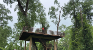 PULAU CHENDOL, PANTAI SURI BERPOTENSI JADI TARIKAN EKOPELANCONGAN TUMPAT