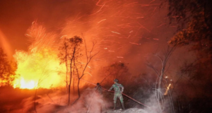 INDONESIA TABUR 2.4 TAN AIS KERING DALAM PERCUBAAN SURAIKAN JEREBU DI SUMATERA SELATAN