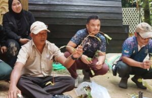 17 PESERTA DIDEDAHKAN DENGAN TUMBUHAN TANAH TINGGI, BIAK PERIUK KERA