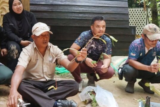 17 PESERTA DIDEDAHKAN DENGAN TUMBUHAN TANAH TINGGI, BIAK PERIUK KERA