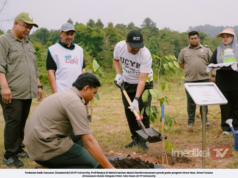 PENUNTUT UCYP UNIVERSITY TANAM POKOK DI HUTAN SIMPAN CHINI