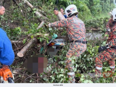 PENUNGGANG MAUT DIHEMPAP POKOK TUMBANG DI JELI