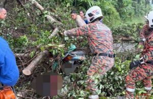 PENUNGGANG MAUT DIHEMPAP POKOK TUMBANG DI JELI