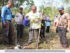 JPNP TANAM 625 POKOK DALAM KAWASAN RAYAU HIDUPAN LIAR DI BERA