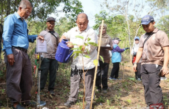 JPNP TANAM 625 POKOK DALAM KAWASAN RAYAU HIDUPAN LIAR DI BERA